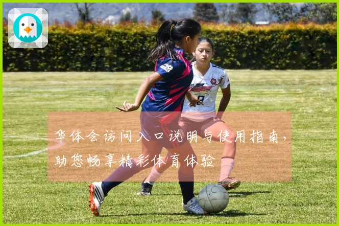 华体会访问入口说明与使用指南，助您畅享精彩体育体验